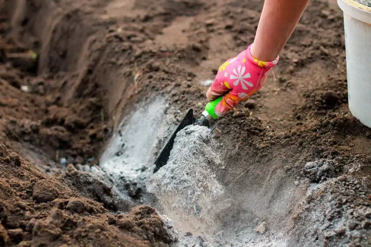 Jači od pepela, kvasca i gnoja: u veljači ih sipamo na snježne grede - dvostruka plodnost već u proljeće