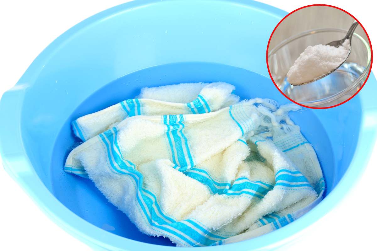 Samo ih namočite navečer i ujutro nećete vjerovati svojim očima: kuhinjske krpe bit će kao nove.