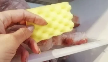 Špongia v mrazničke: jednoduché riešenie, ktoré znižuje tvorbu ľadu.