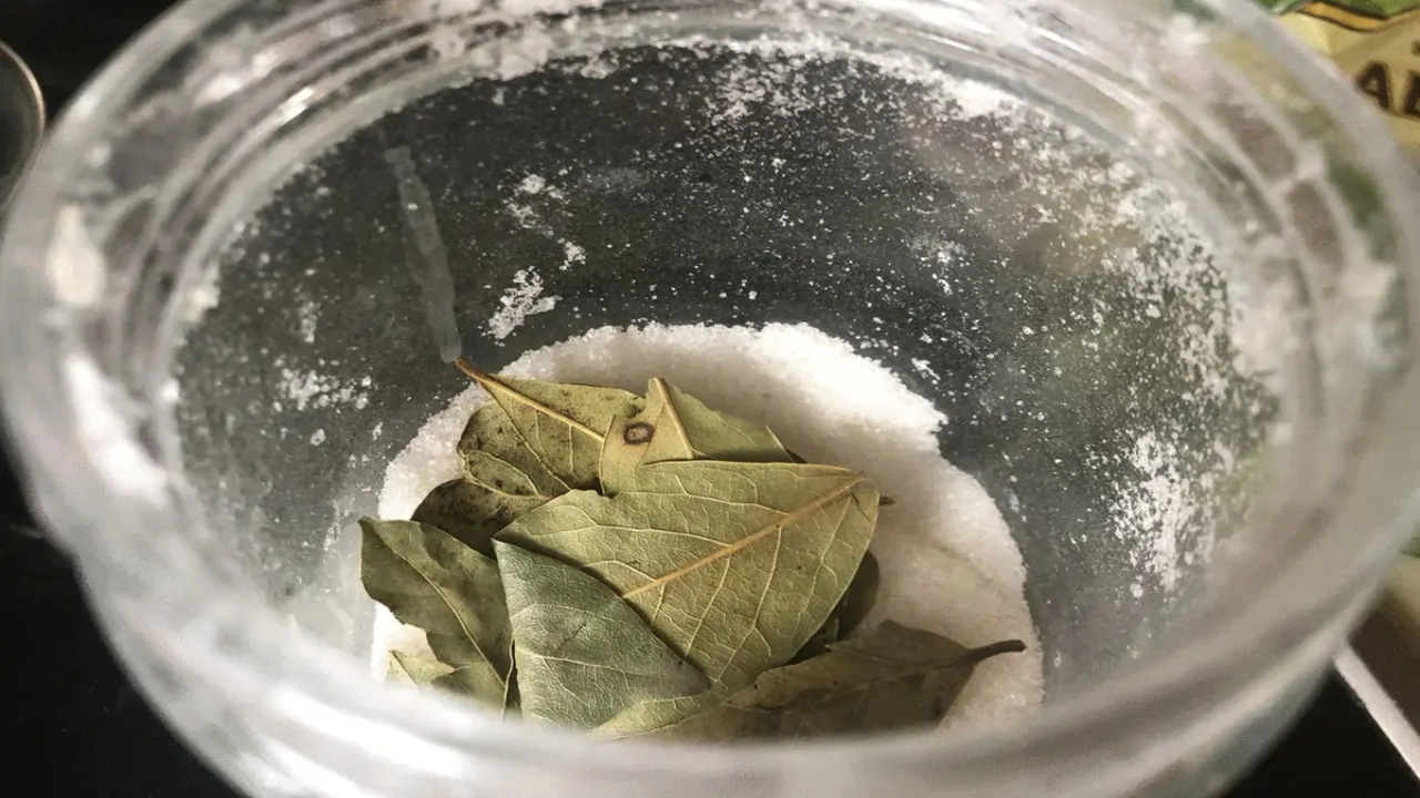 Miješanje lovorovog lista i sode bikarbone: zašto se preporučuje i za što je korisno.