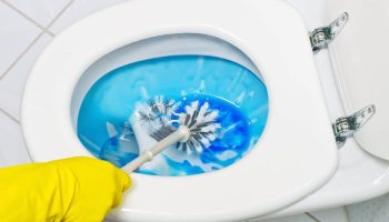 Odolný vápenatý povlak v záchode: pomôže babkin recept z dvoch ingrediencií.