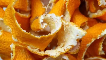 Trend: Warum sollte man einen Beutel mit getrockneten Orangenschalen an die Tür hängen?