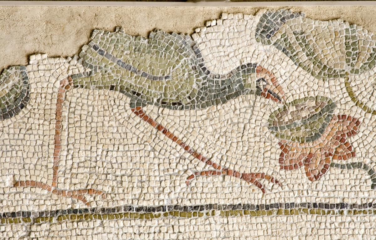 Izvanredan mozaik pojavljuje se u 