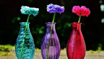 Vezmite ju z kuchyne a nasypte do vázy. Bude vyzerať ako nová.