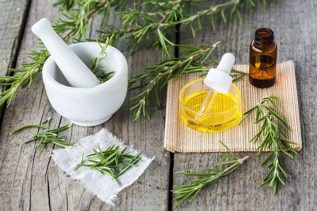 Ulje ruzmarina za negu kose