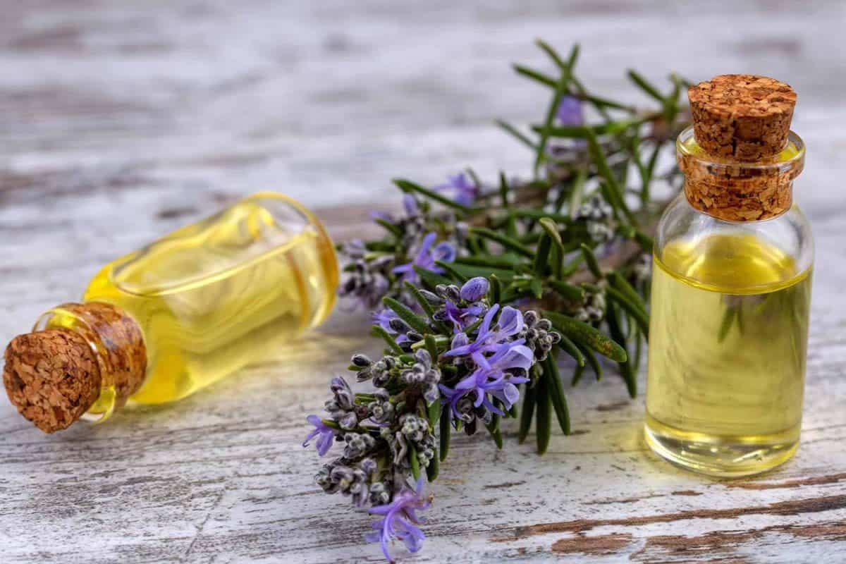 Domaći tretmani sa ruzmarinom