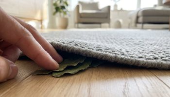 Položte bobkový list pod koberec a zajtra ráno sa zbavíte svojich každodenných problémov.