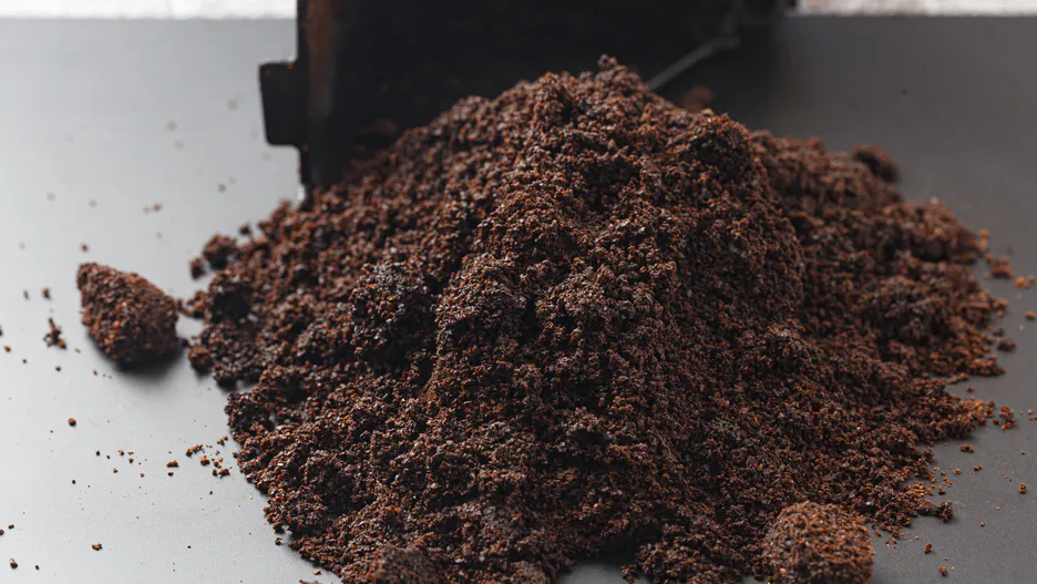 Talog od kave zimi je vrlo koristan. Mnogi ne znaju i bacaju ga 