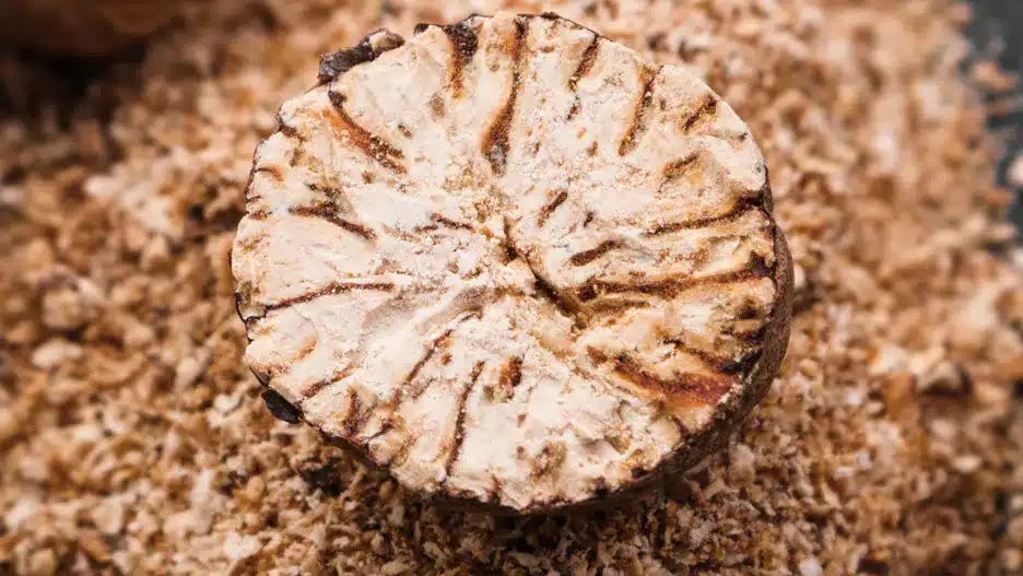 Jak afrodizijak koji možete kupiti u svakoj trgovini. Košta nekoliko centi, ali djeluje kao plava tableta.