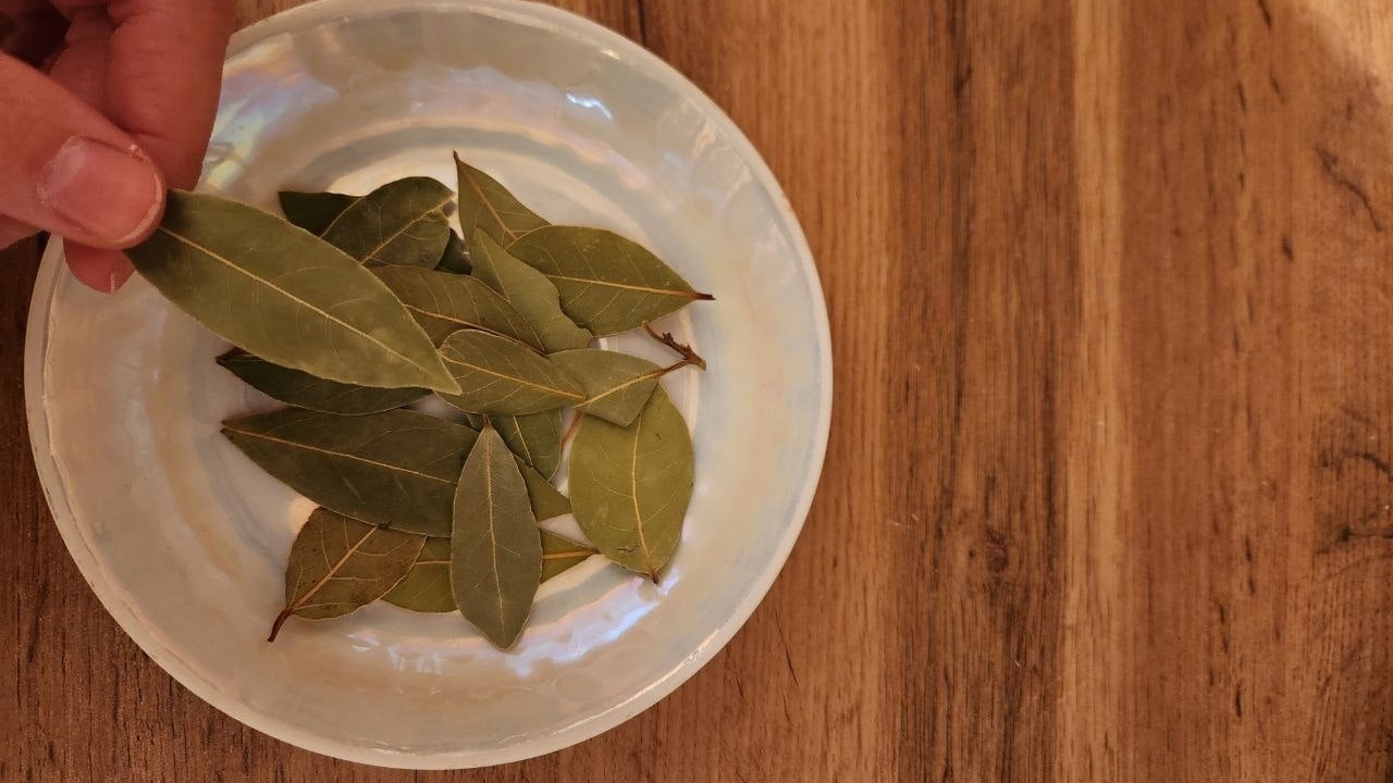 Kako staviti lovorov list u mikrovalnu: zašto je to potrebno i koliko često.