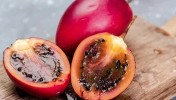 Je málo známý, ale je chutný a zdravý. Ak ho uvidíte v obchode, bez váhania ho kúpte.