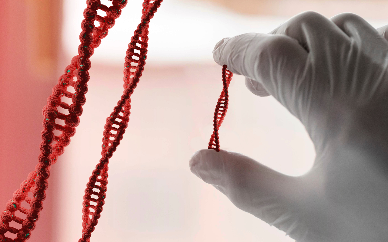 Koliko je napredno dekodiranje DNK svih vrsta na Zemlji?