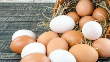 Viete, koľko vajec by mali jesť starší ľudia? Vedci konečne určili konkrétne množstvo.