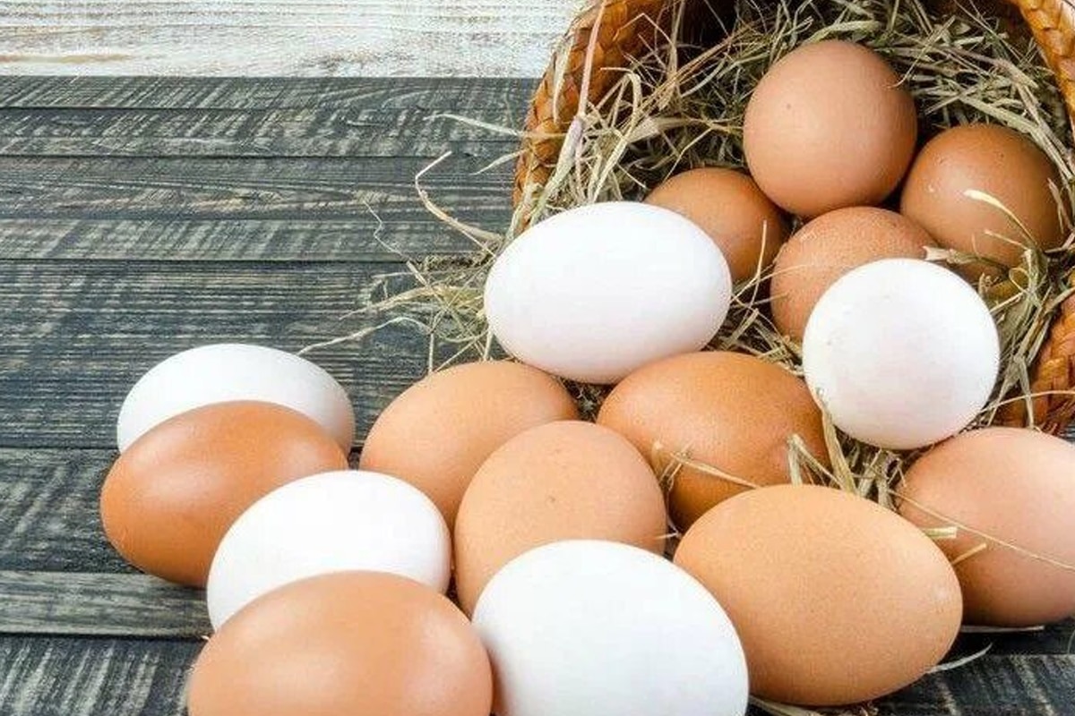 Viete, koľko vajec by mali jesť starší ľudia? Vedci konečne určili konkrétne množstvo.