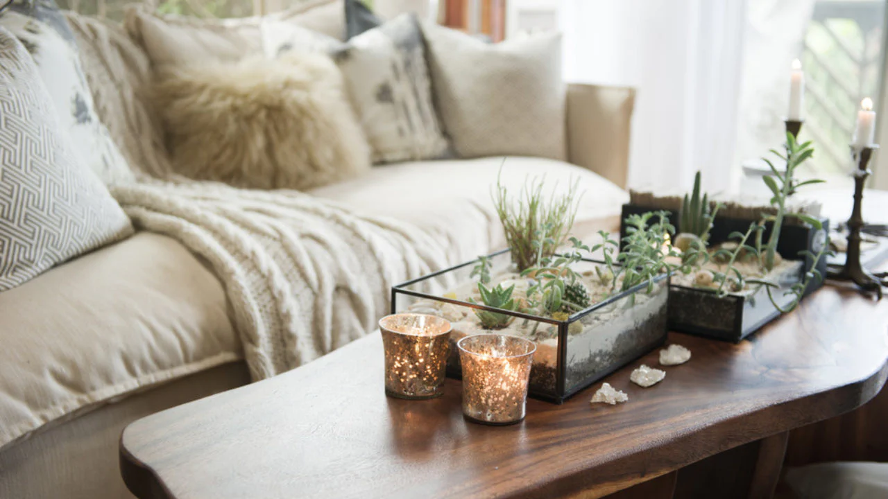 Što psihološki znači napuniti svoj dom biljkama?