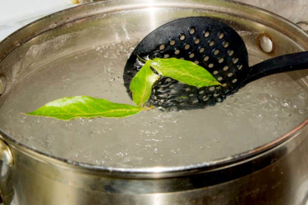 Kuhanje lovora u octu: čemu služi i zašto se preporučuje.