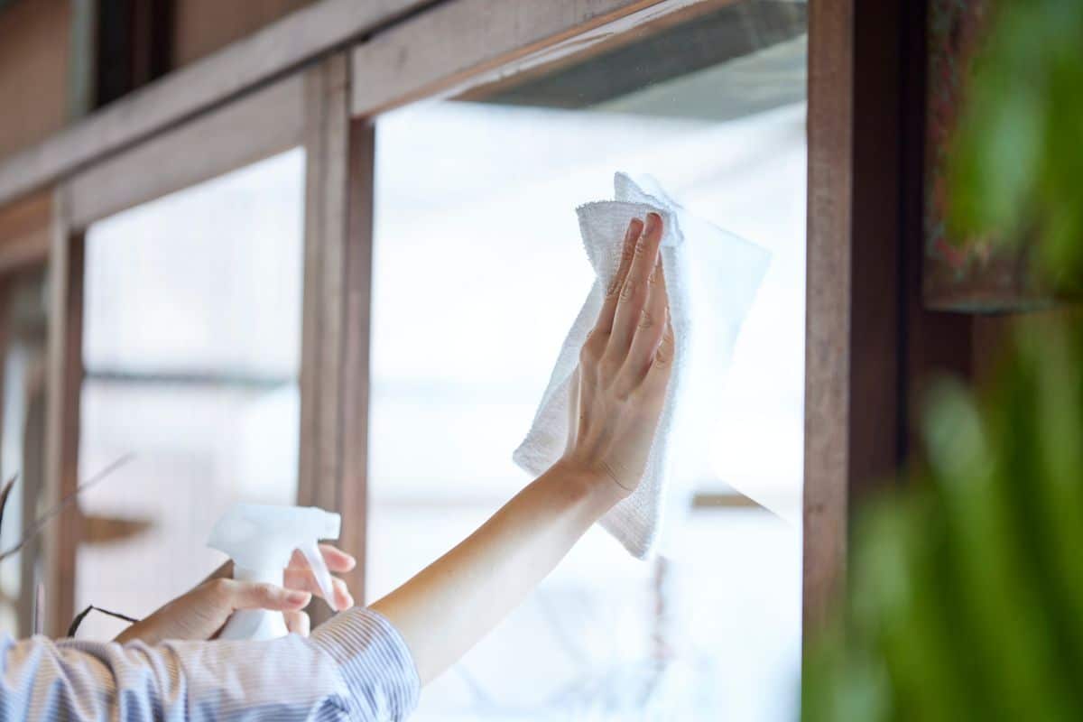 Pranje prozora prirodnim sredstvom