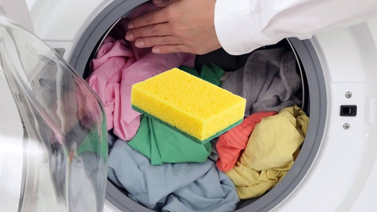 Čista unutrašnjost veš mašine nakon upotrebe sunđera