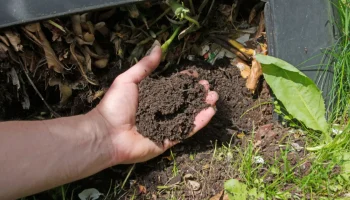 Kuinka tehdä kompostia kotona ja miksi kasvisi huomaavat sen jo ensimmäisen kuukauden aikana.