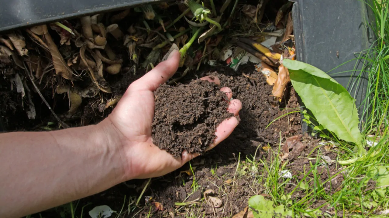 Kuinka tehdä kompostia kotona ja miksi kasvisi huomaavat sen jo ensimmäisen kuukauden aikana.