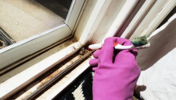 Natriumcarbonaat en huishoudfolie op de raamrails aanbrengen: waarom wordt dit aanbevolen en waarvoor dient het?