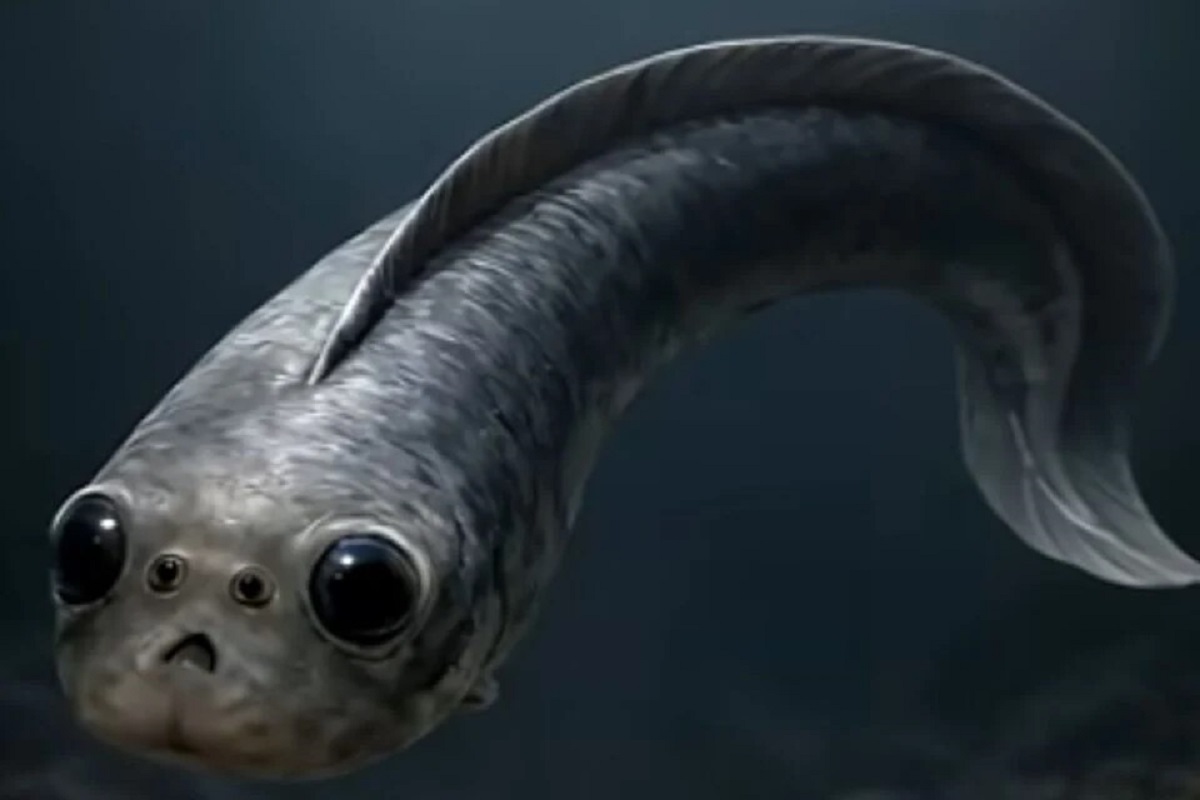 Fosili stari više od 500 milijuna godina otkrivaju neočekivani detalj o viziji prvih kralješnjaka