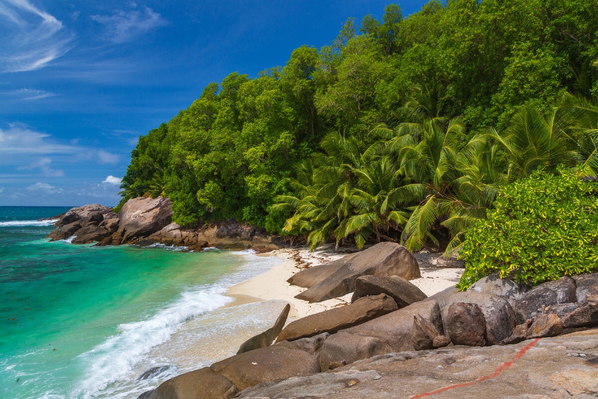 Čovjek je 1962. kupio pusti otok: posadio je 16.000 stabala i pretvorio ga u utočište za anti-bogataše