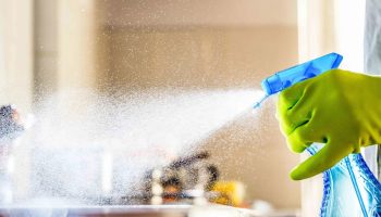 Rozprašovanie octu v rohoch domu: načo je to potrebné a prečo sa to odporúča.