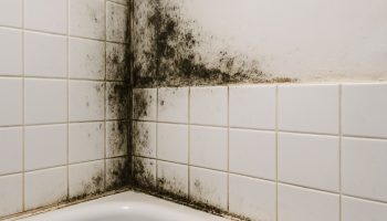 Dit product verwijdert snel en effectief schimmel uit tegelvoegen