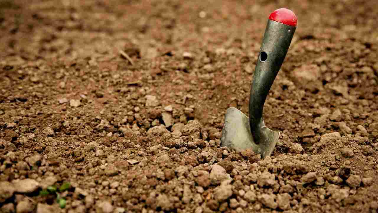 Zabadanje starih žlica u tlo ispod biljaka: zašto se to preporučuje