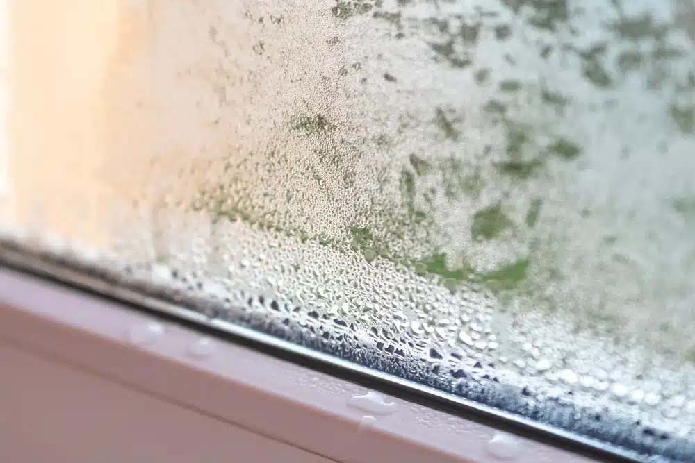 Prečo sa sklenené výplne zahmlievajú zvnútra a čo s tým robiť? Užitočné riešenia.