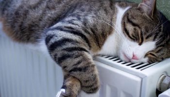 Odborníci určili ideální teplotu v domácnosti: Kolik stupňů stačí pro lepší zdraví a spánek?