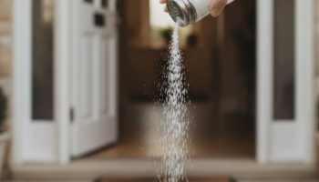 Stavite sol na ulaz u kuću: Čemu služi i zašto to stručnjaci preporučuju