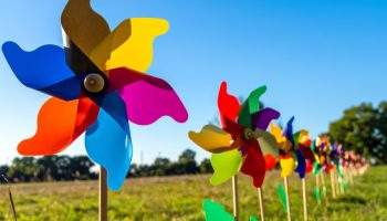 Rijetki znaju pravu istinu: Evo zašto stručnjaci preporučuju postavljanje vjetrenjača u vrt