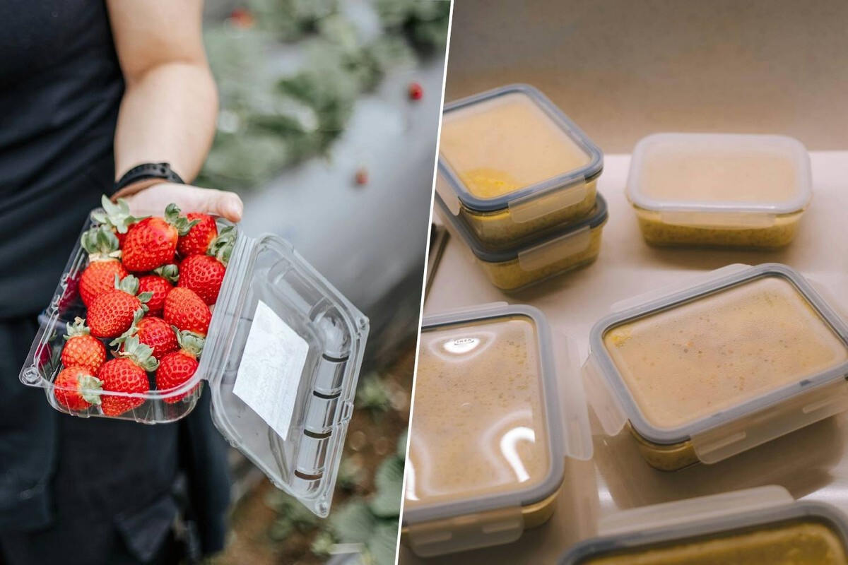 Sljedeća evolucija posuda za hranu su organski spremnici: Razlog su endokrini disruptori