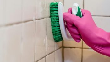 Ni ocat ni soda bikarbona: Ovaj proizvod obećava blistavu kupaonicu bez napora