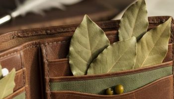 Što znači nositi lovorov list u novčaniku prema Feng Shuiju?