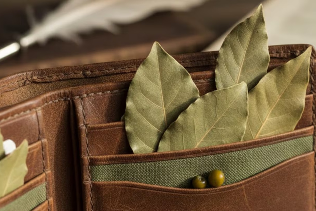 Što znači nositi lovorov list u novčaniku prema Feng Shuiju?