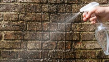 Arhitekt preporučuje prskanje zidova octom: Evo čemu to zapravo služi