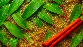 Trend koji osvaja: Prokuhajte listove eukaliptusa i cimet – evo zašto to svi preporučuju