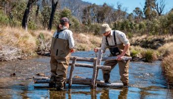 Luksuzni Domovi Ispod Površine: Kako Australija Spašava Ugrožene Slatkovodne Ribe?