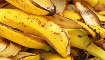 Nevjerojatna Tajna Vrtlara: Zašto Ne Smijete Bacati Korice Banane i Kako Ih Koristiti s Octom!