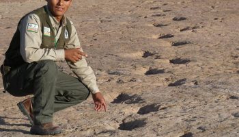 Otkriće koje mijenja povijest: Više od 16.000 tragova dinosaura u Boliviji otkriva neviđene tajne prapovijesnog života!