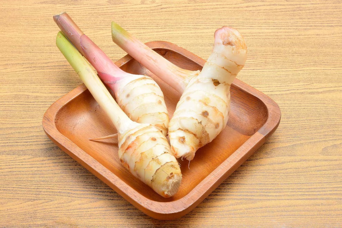 Riješite probavne tegobe: Azijski korijen galanga, malo poznata tajna za bolji život i zdravlje crijeva