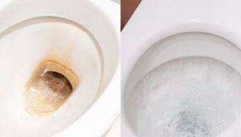 Zaboravite Ribanje! Tajna Domaće Mješavine s Limunom Koja Zauvijek Uklanja Kamenac iz WC Školjke