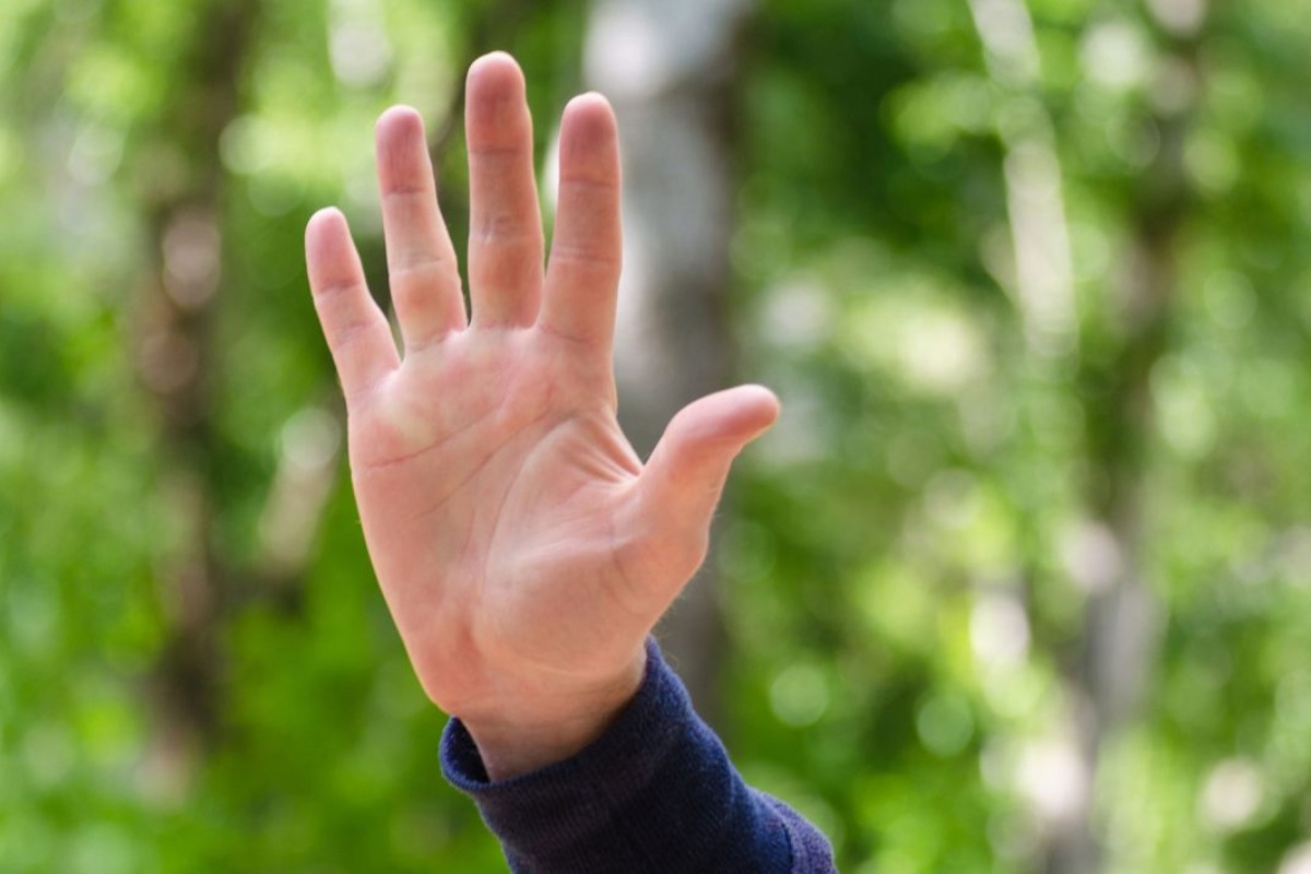 Psihologija sugerira da je zahvaljivanje vozačima automobila gestom ruke pri prelasku ulice karakteristično za određene osobe