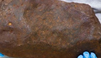 Čovjek godinama čuvao stijenu nadajući se da je zlato: ispostavilo se da je mnogo vrednija