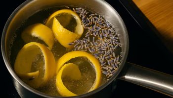 U trendu je: Kuhanje kore limuna i lavande – čemu služi i zašto se preporučuje