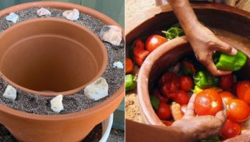 Ni hladnjak ni led: kako je moguće održati hranu svježom uz pomoć dviju posuda