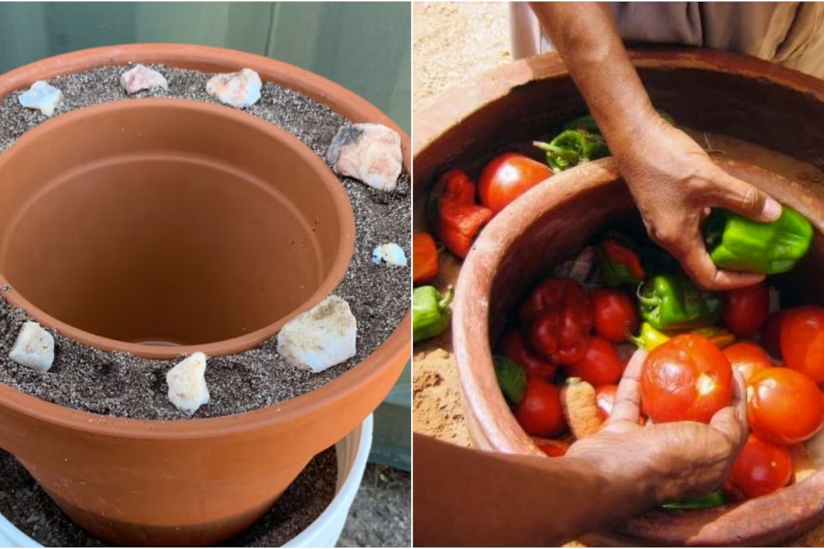 Ni hladnjak ni led: kako je moguće održati hranu svježom uz pomoć dviju posuda